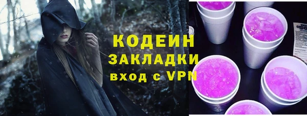 хмурый Арсеньев