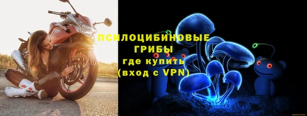 тгк Аркадак