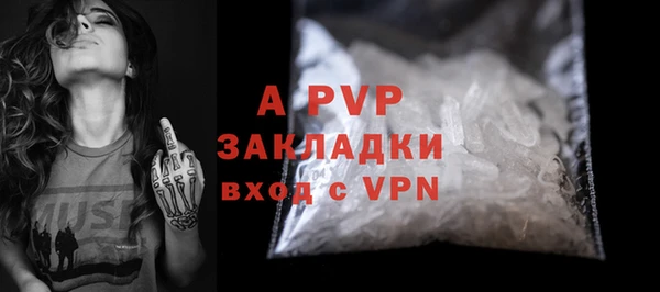 хмурый Арсеньев
