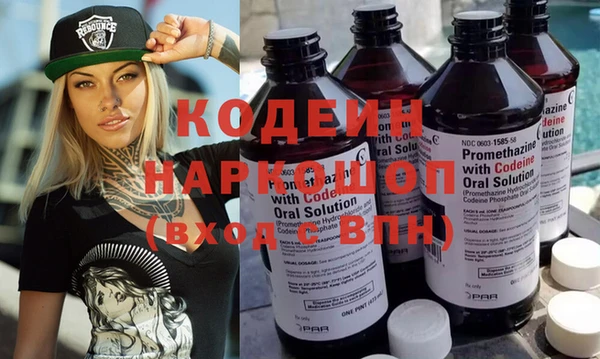 хмурый Арсеньев