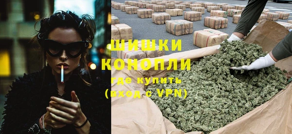 хмурый Арсеньев