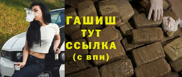 хмурый Арсеньев